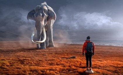 Nuestra actitud ante los problemas nos define: reactivos y proactivos