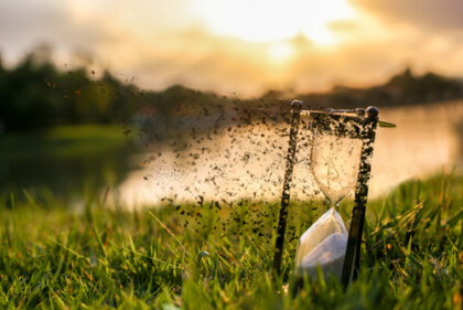 7 grietas por donde se fuga el tiempo