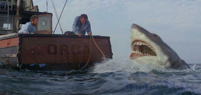 Jaws