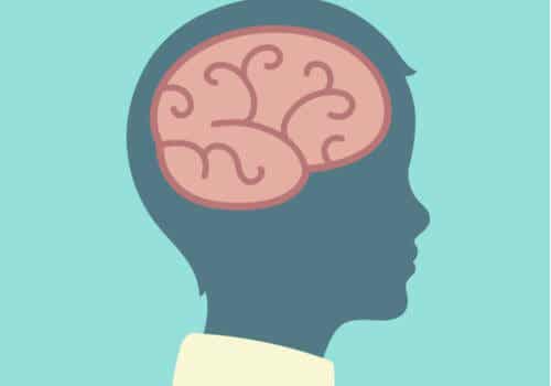 Brain balance, el modelo del equilibrio cerebral