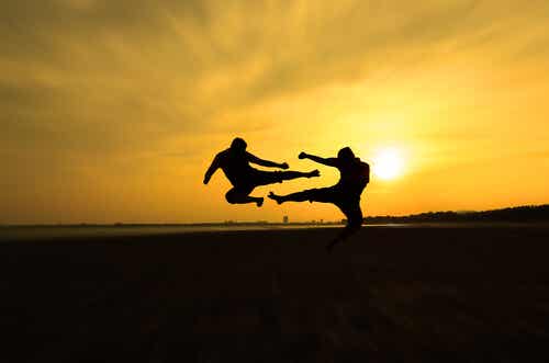 Combate de artes marciales