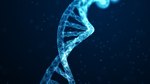 Genes
