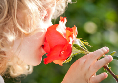 Niña oliendo una rosa