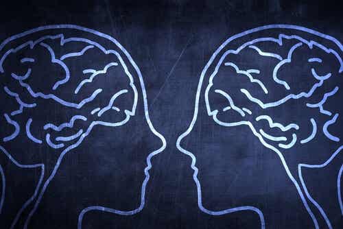 El cerebro social: ¿por qué es una ventaja evolutiva?
