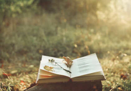 Poesía para aliviar el dolor