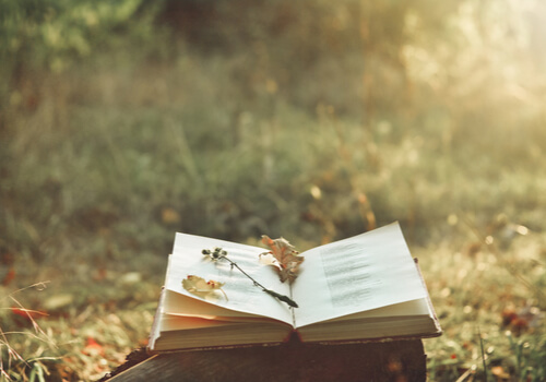 Poesía para aliviar el dolor