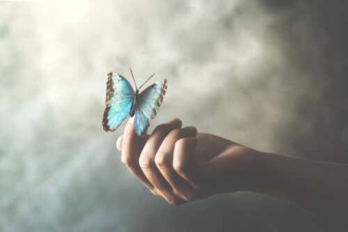Blå sommerfugl på hånd
