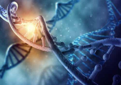 ¿El ADN puede ser reprogramado?