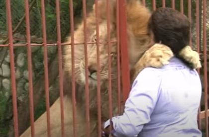 Ana Julia Torres, hermana de los animales