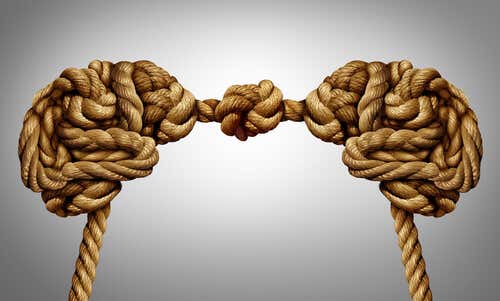 Dos cerebros unidos con cuerdas