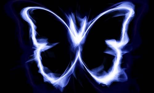 Mariposa iluminada