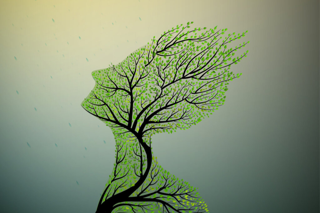 Arbre en forme de personne symbolisant la vérité pour la culture Nahuatl