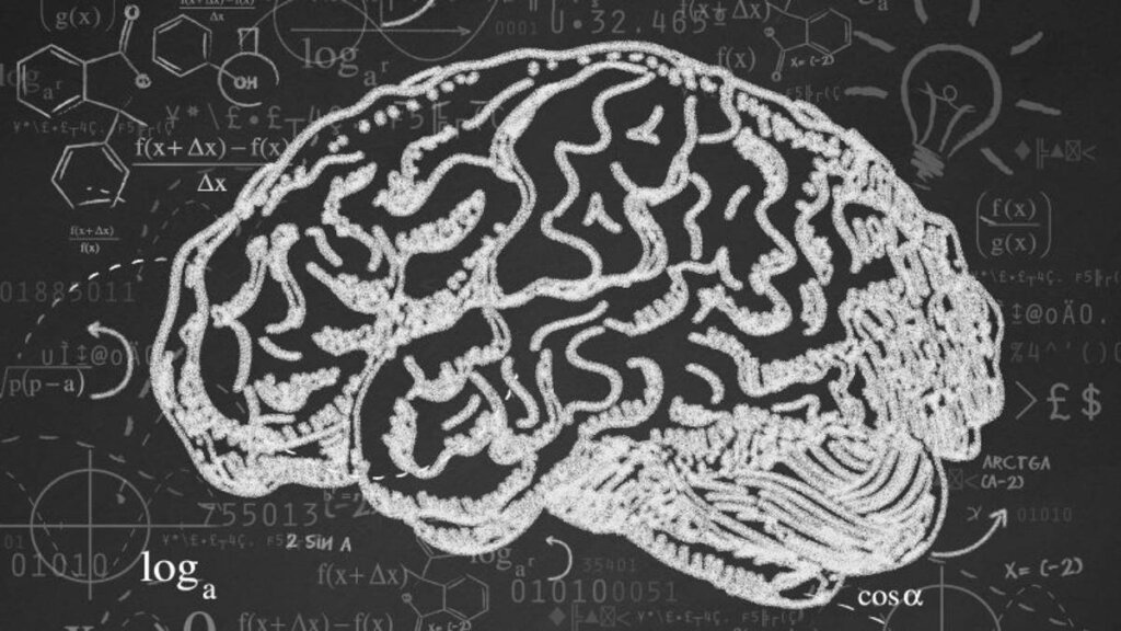 Cerebro representando la Velocidad de procesamiento cognitivo