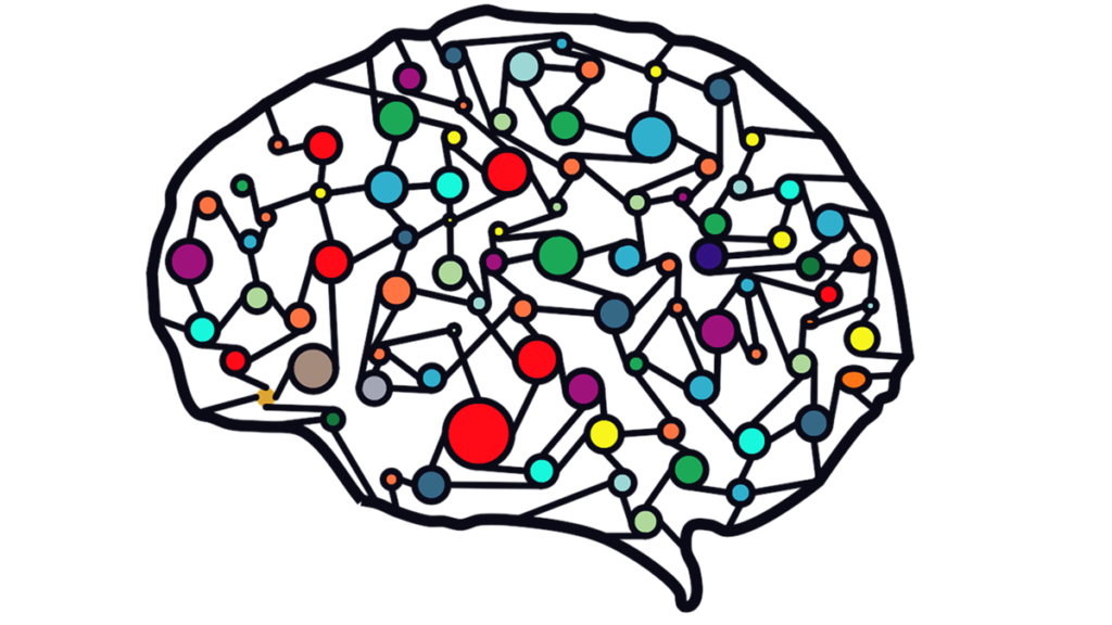 Cerebro