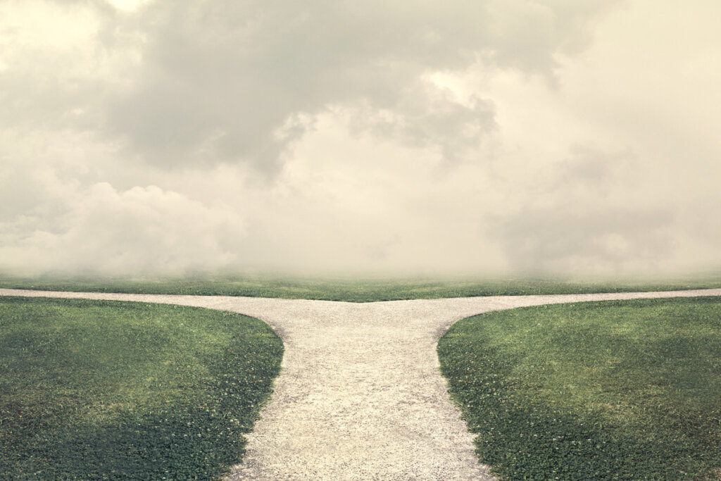 Een waterweg splitst zich in tweeën