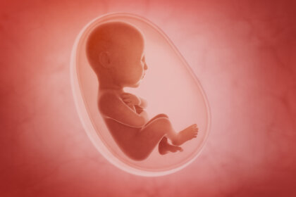 ¿Qué sentidos se desarrollan antes en el ser humano?