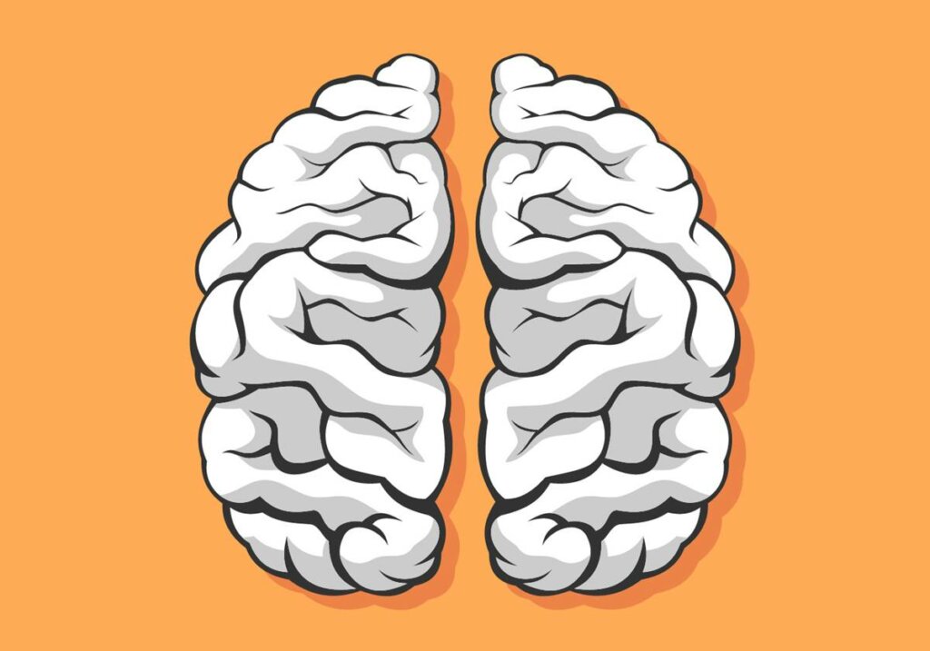 Cerebro