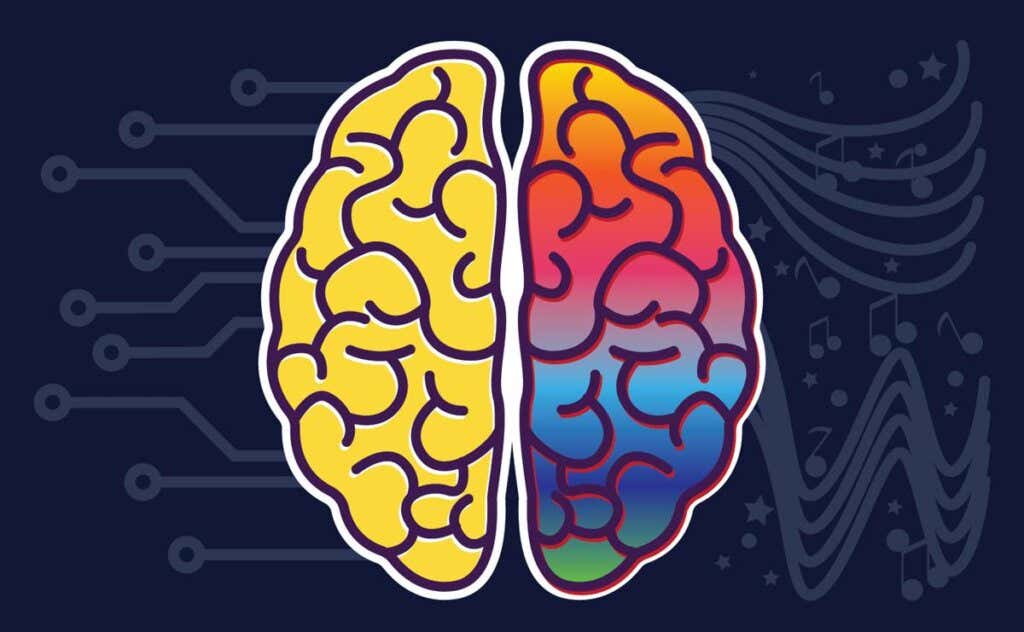 ¿Cuáles son las funciones de los hemisferios cerebrales?