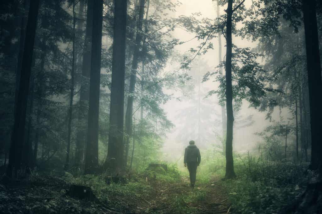 Hombre caminando por el bosque alcanzando la trascendencia