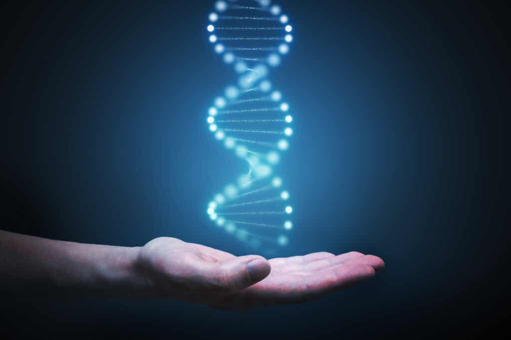 Mano con ADN representando el gen de las relaciones felices