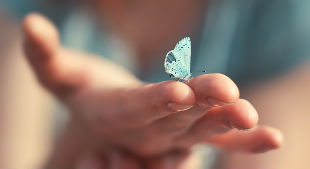 Mano con una mariposa