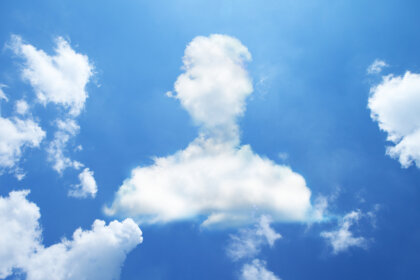 Tipos de distorsiones perceptivas