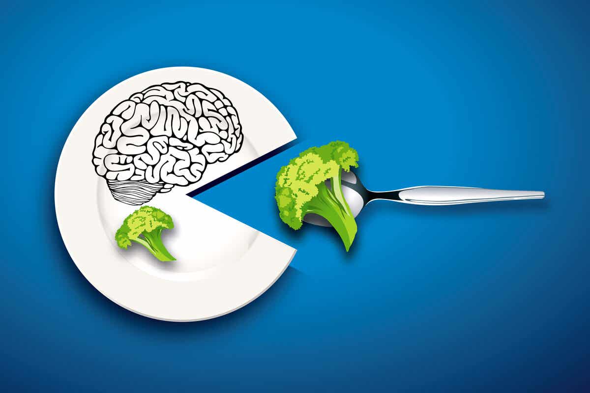 Alimentación y cerebro: cómo la comida influye en nuestro funcionamiento