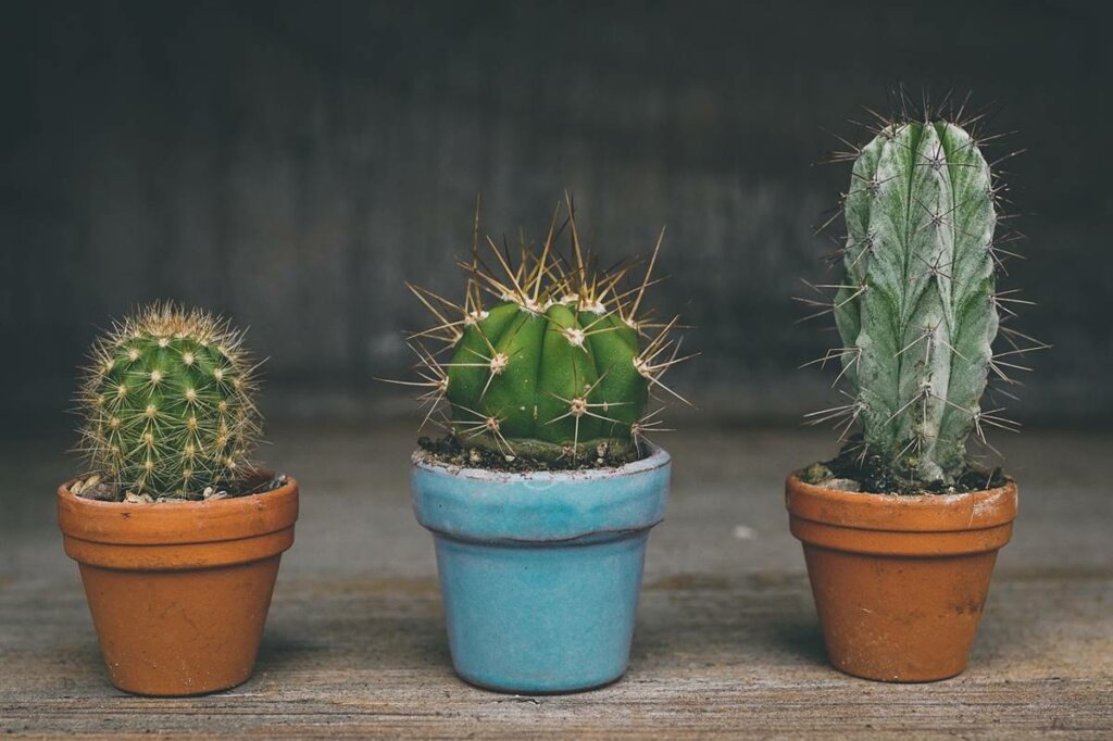 Celos entre amigos ¿por qué ocurren?