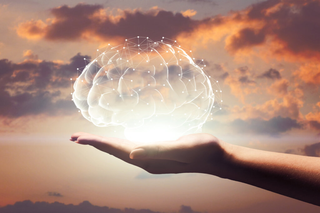 Mano sujetando un cerebro rerpesentando la heurística de la atracción