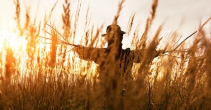 Propuesta del hombre de paja para resolver problemas