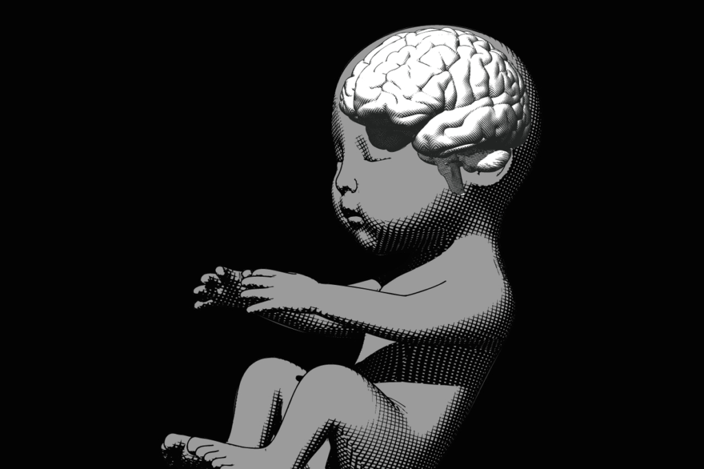 Stadium av utviklingen av fosterhjernen til et menneske