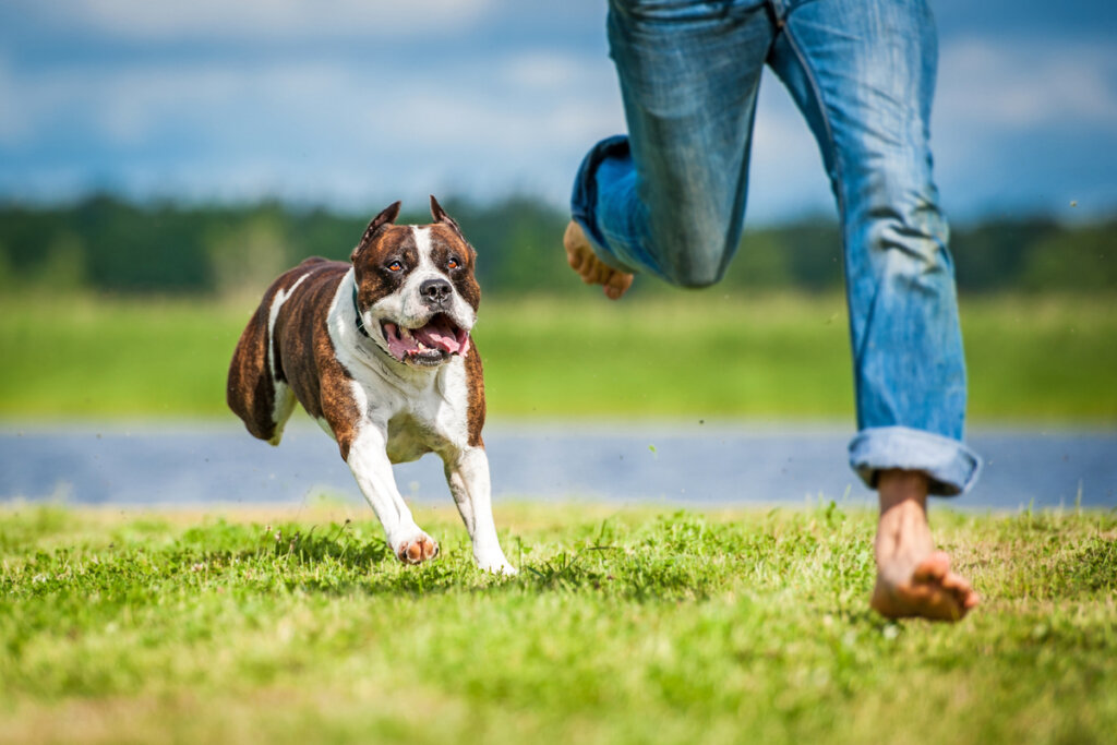 Hombre con cinofobia huyendo de un perro