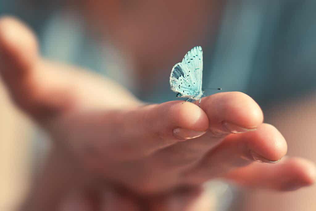Blue butterfly on a hand