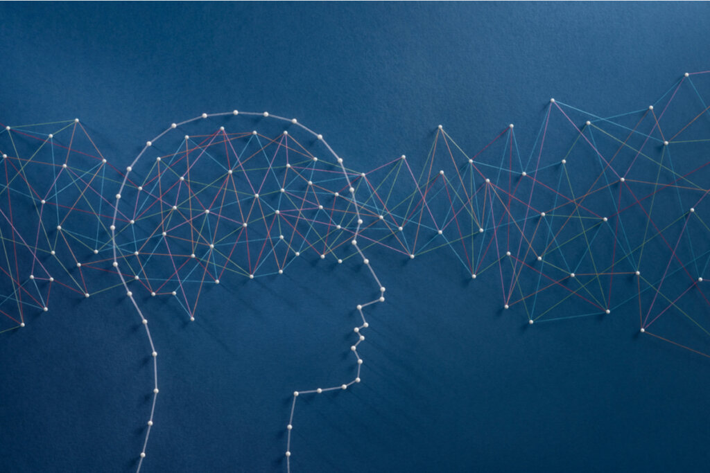 Het cognitieve proces