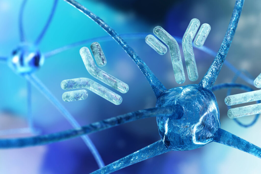 Neuronas y anticuerpos