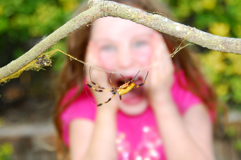 Niña gritando por una araña