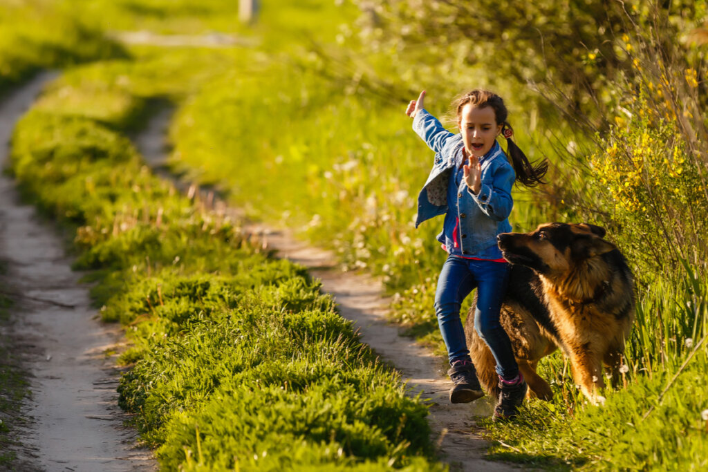 Niña asustada por un perro