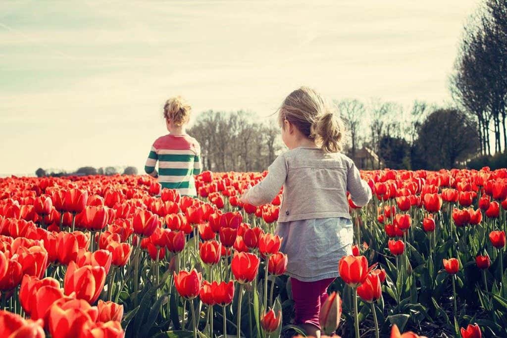 Niños entre tulipanes representando las habilidades socioemocionales
