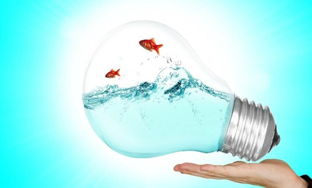 Peces en una bombilla