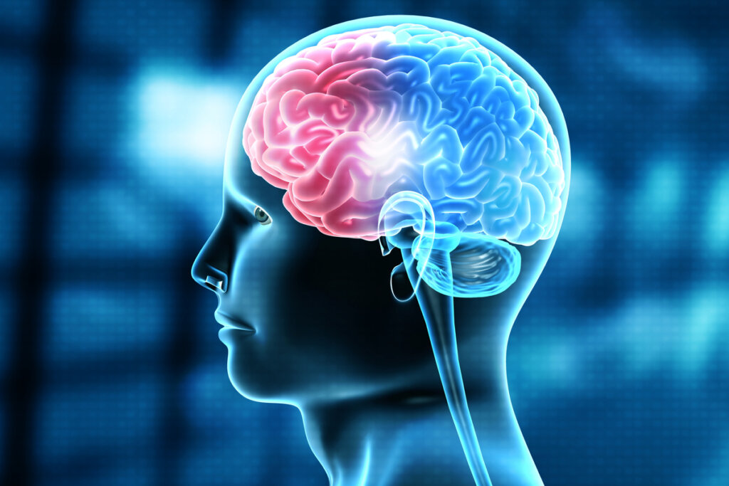 Persona con una lesión cerebral