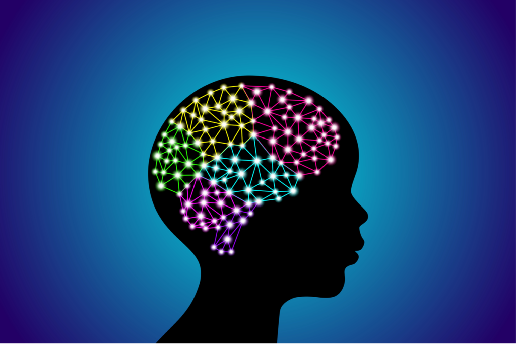 De hersenen van het kind