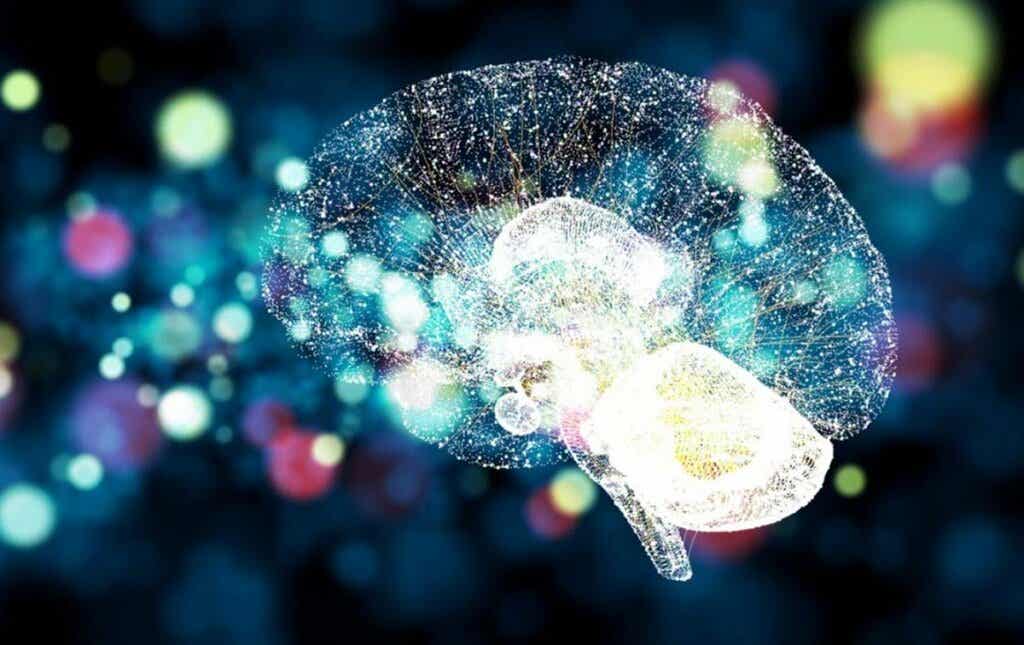 Cerebro iluminado representando la cuestión de dónde está ubicada la mente humana