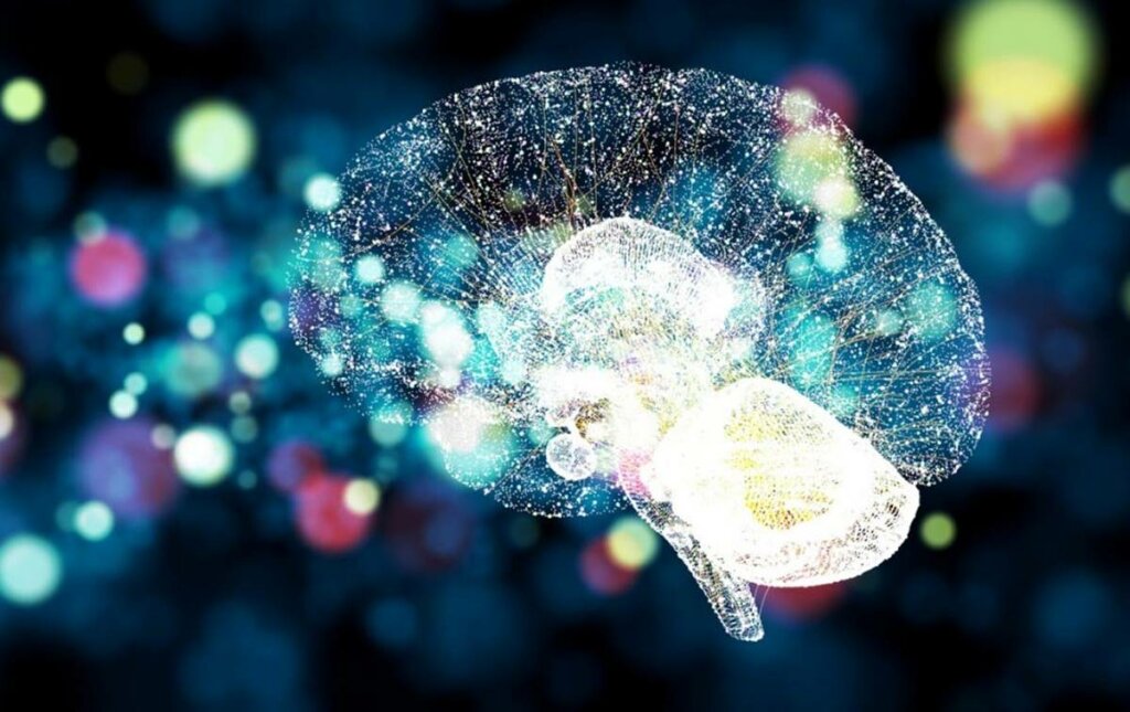 Cerebro iluminado por las Catecolaminas