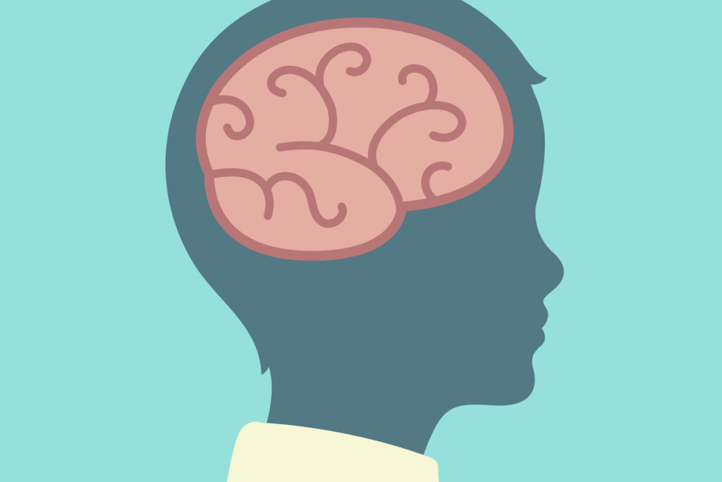 Pädagogische Psychologie und das Gehirn eines Kindes