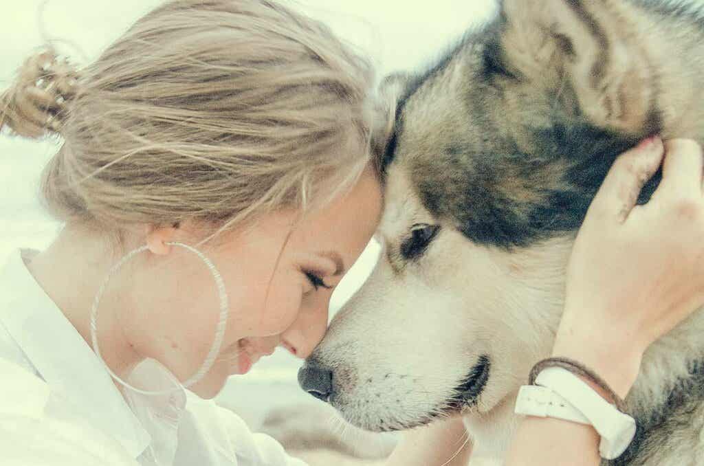 Chica con su husky trabajando la ansiedad por separación en perros