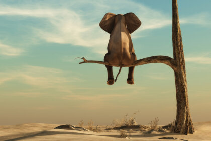 La gordofobia: el verdadero elefante de la sala