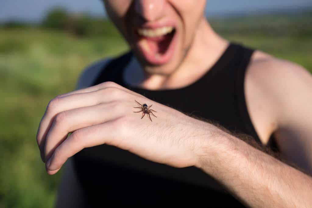 Hombre con miedo a las arañas