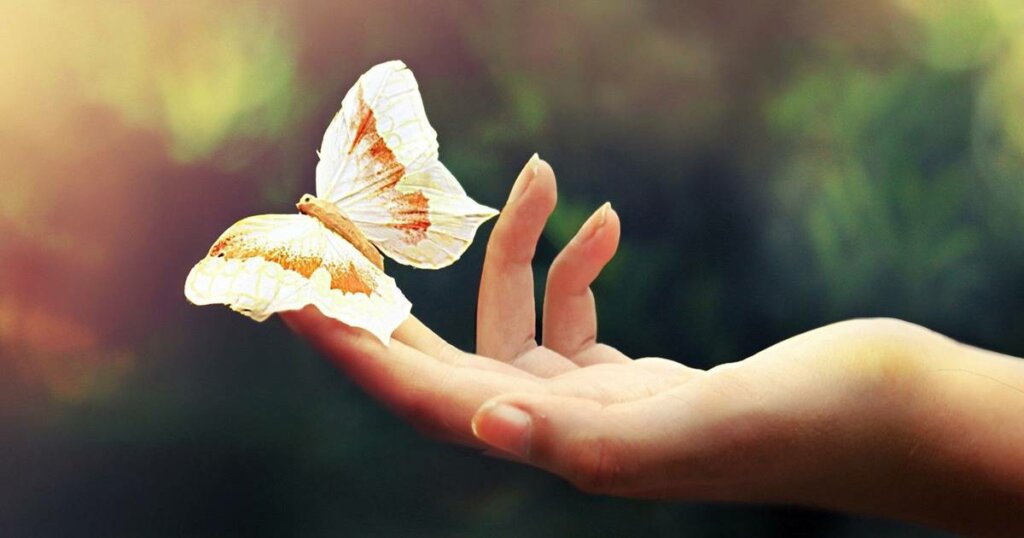 Mariposa simbolizando el cambio cuando no me gusta mi vida