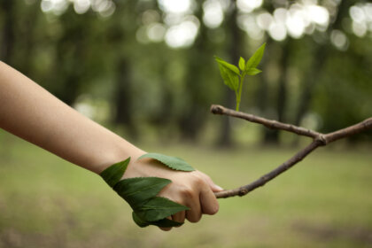 El amor fati: una reconciliación hermosa con nuestra naturaleza