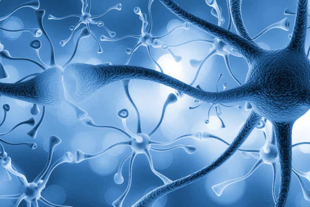 Undvik vanor som dödar nervceller